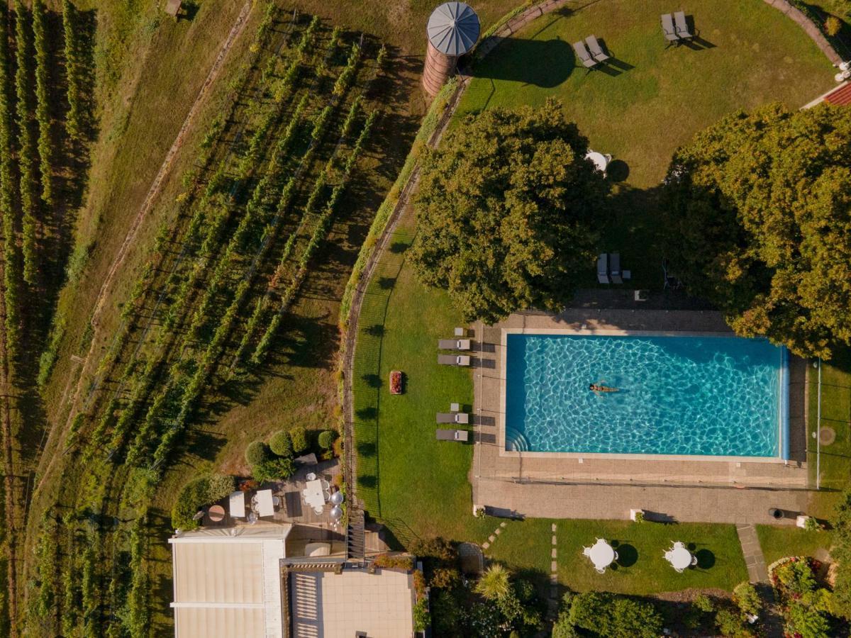 Chateau D'Isenbourg & Spa Руфаш Екстериор снимка
