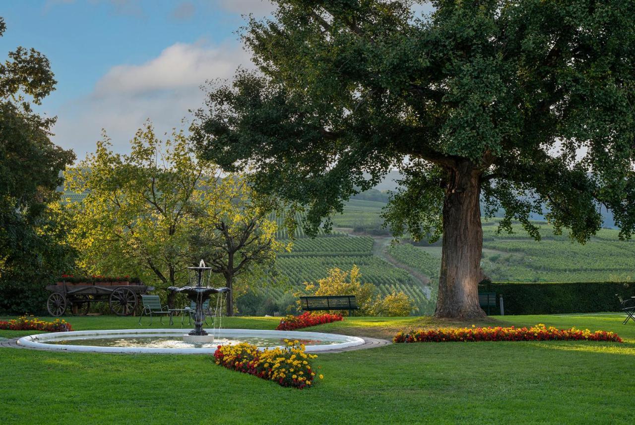 Chateau D'Isenbourg & Spa Руфаш Екстериор снимка