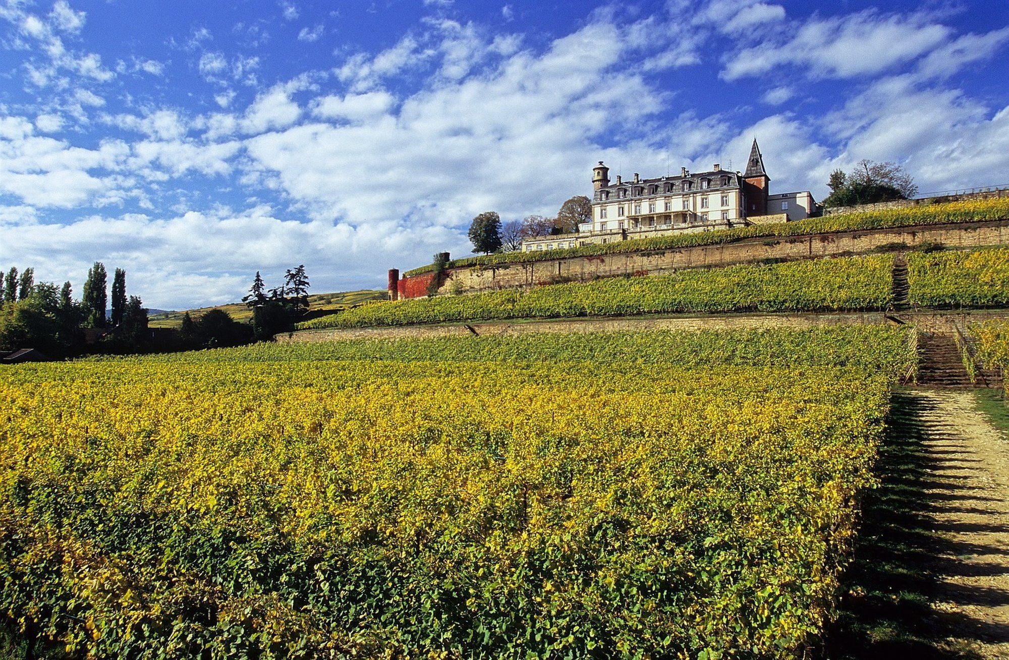 Chateau D'Isenbourg & Spa Руфаш Екстериор снимка